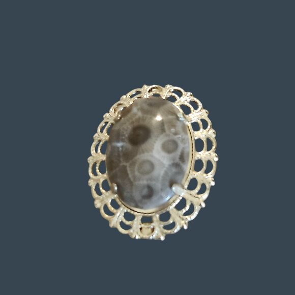 Dainty Vintage Petoskey Stone Oval Brooch In Gold Filigree Setting - Picture 1 of 5